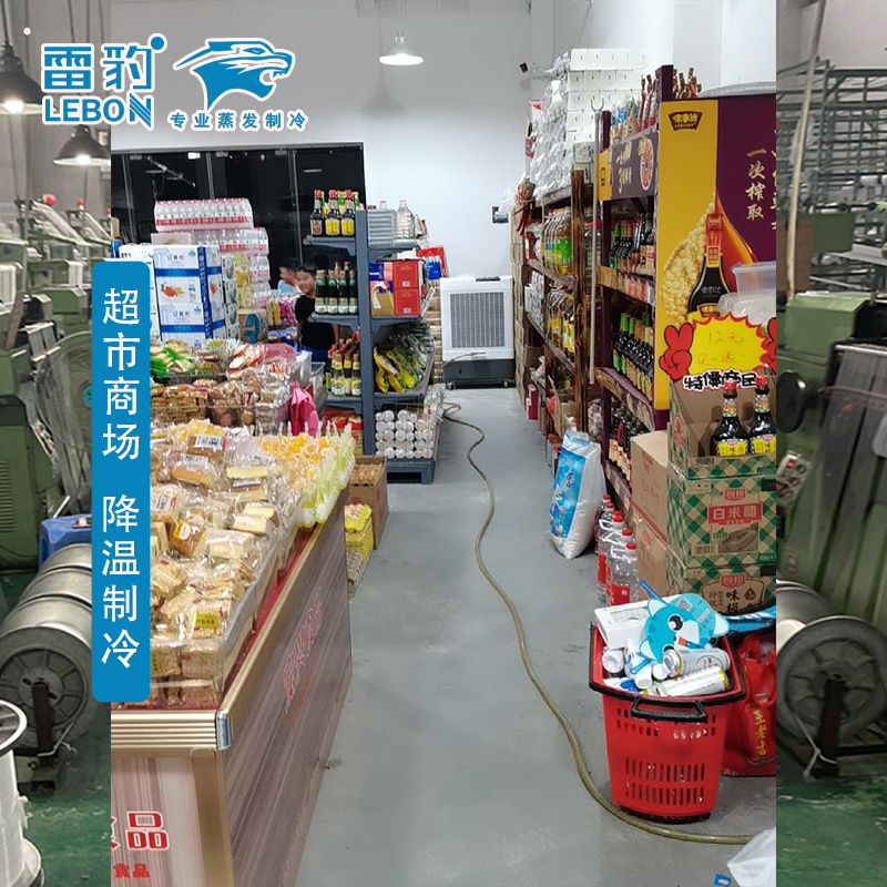 雷豹冷风机MFC6000水冷空调超市商场通风降温