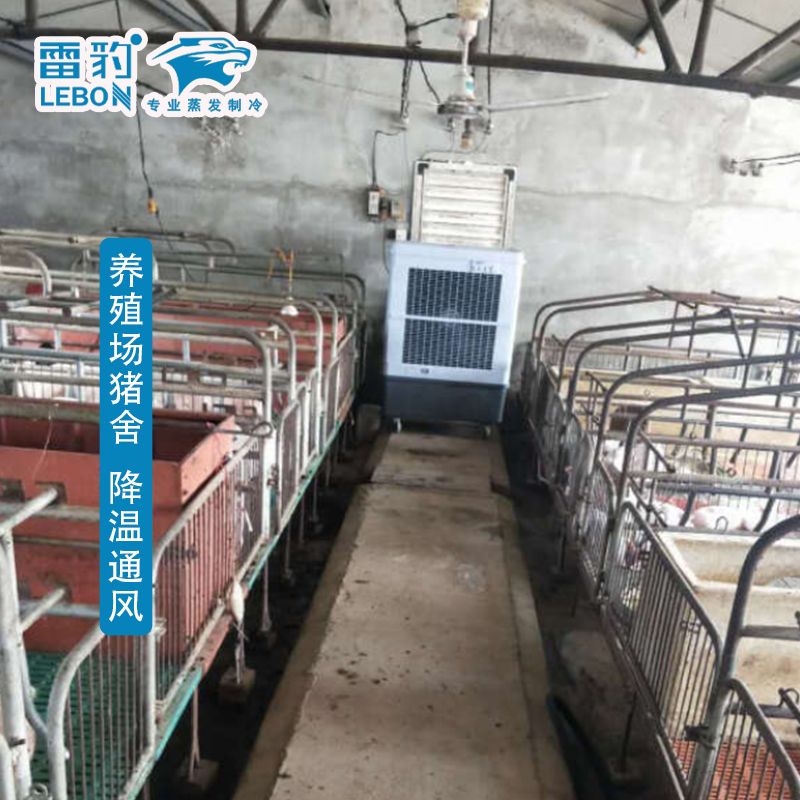  养殖场猪舍牛棚通风降温  雷豹 MFC16000D 移动冷风机 